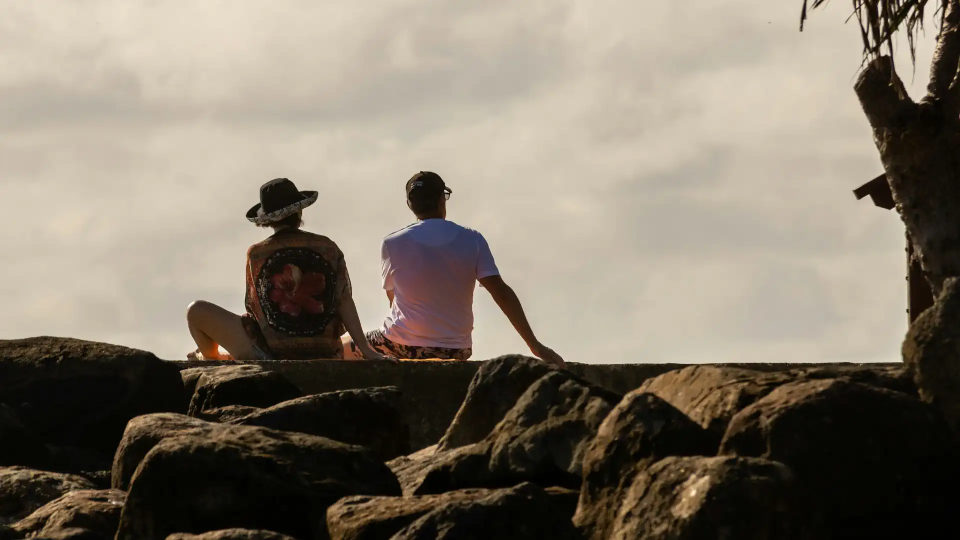 Cover for Weekly Issue 116