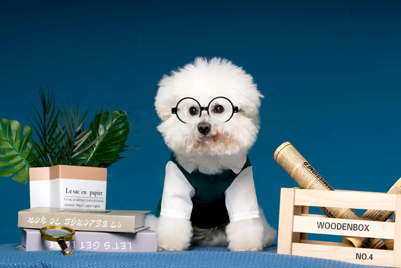 Cover for Weekly Issue 76